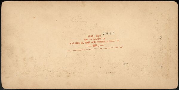 [Group of 47 Stereograph Views of the 1904 St. Louis World's Fair and Louisiana Purchase Exposition], C. H. Graves (American), Albumen silver prints