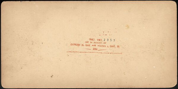 [Group of 47 Stereograph Views of the 1904 St. Louis World's Fair and Louisiana Purchase Exposition], C. H. Graves (American), Albumen silver prints