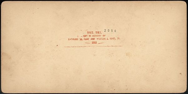 [Group of 47 Stereograph Views of the 1904 St. Louis World's Fair and Louisiana Purchase Exposition], C. H. Graves (American), Albumen silver prints