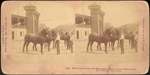 [Group of 47 Stereograph Views of the 1904 St. Louis World's Fair and Louisiana Purchase Exposition], C. H. Graves (American), Albumen silver prints