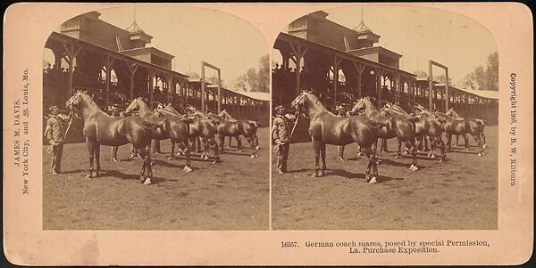[Group of 47 Stereograph Views of the 1904 St. Louis World's Fair and Louisiana Purchase Exposition], C. H. Graves (American), Albumen silver prints