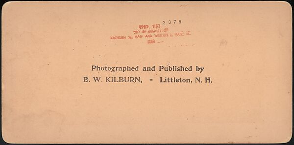 [Group of 47 Stereograph Views of the 1904 St. Louis World's Fair and Louisiana Purchase Exposition], C. H. Graves (American), Albumen silver prints