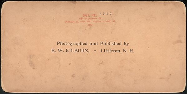 [Group of 47 Stereograph Views of the 1904 St. Louis World's Fair and Louisiana Purchase Exposition], C. H. Graves (American), Albumen silver prints