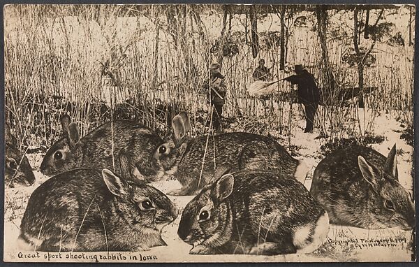 Great Sport Shooting Rabbits in Iowa, William H. Martin (American, 1865–1940), Gelatin silver print 