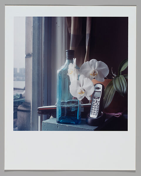 Bloom, Moyra Davey (American, born Toronto, 1958), Chromogenic print