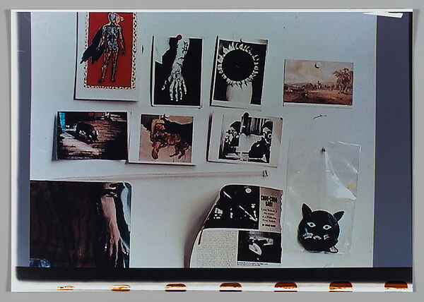 Bloom, Moyra Davey (American, born Toronto, 1958), Chromogenic print