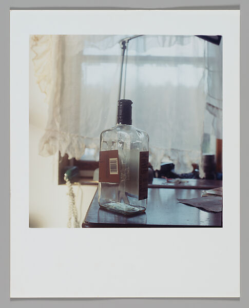 Bloom, Moyra Davey (American, born Toronto, 1958), Chromogenic print