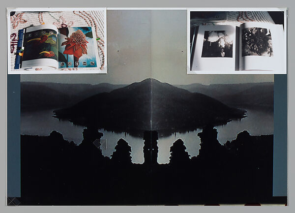 Bloom, Moyra Davey (American, born Toronto, 1958), Chromogenic print