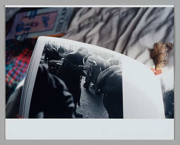 Bloom, Moyra Davey (American, born Toronto, 1958), Chromogenic print