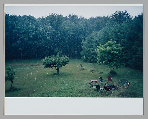 Bloom, Moyra Davey (American, born Toronto, 1958), Chromogenic print