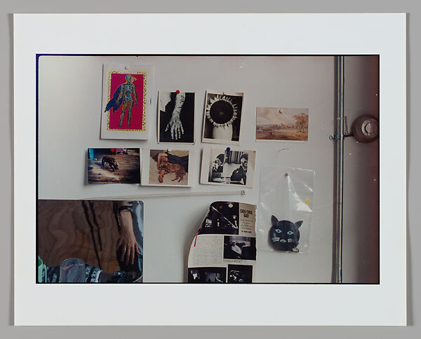 Bloom, Moyra Davey (American, born Toronto, 1958), Chromogenic print