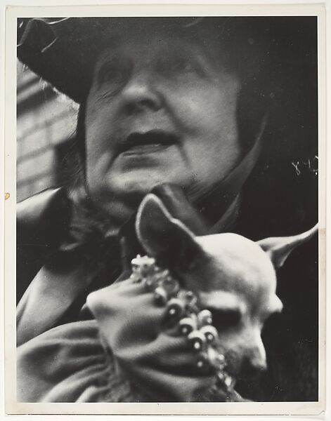 [Woman Holding Small Dog, possibly New York City], Leon Levinstein (American, Buckhannon, West Virginia 1910–1988 New York), Gelatin silver print 