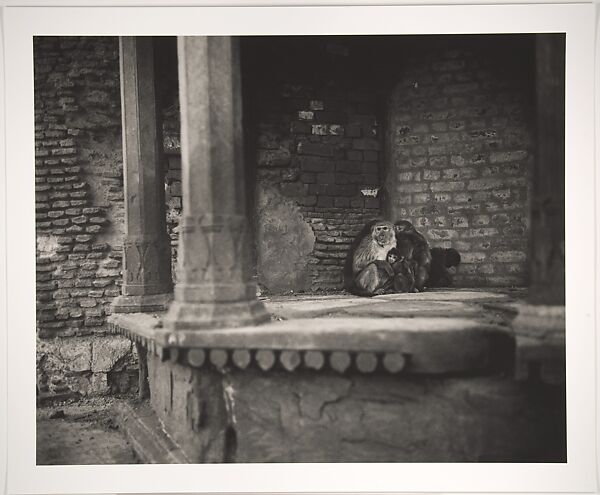 Dawn Along the Yamuna, Vrindavan, India, Fazal Sheikh (American, born 1965), Inkjet print 