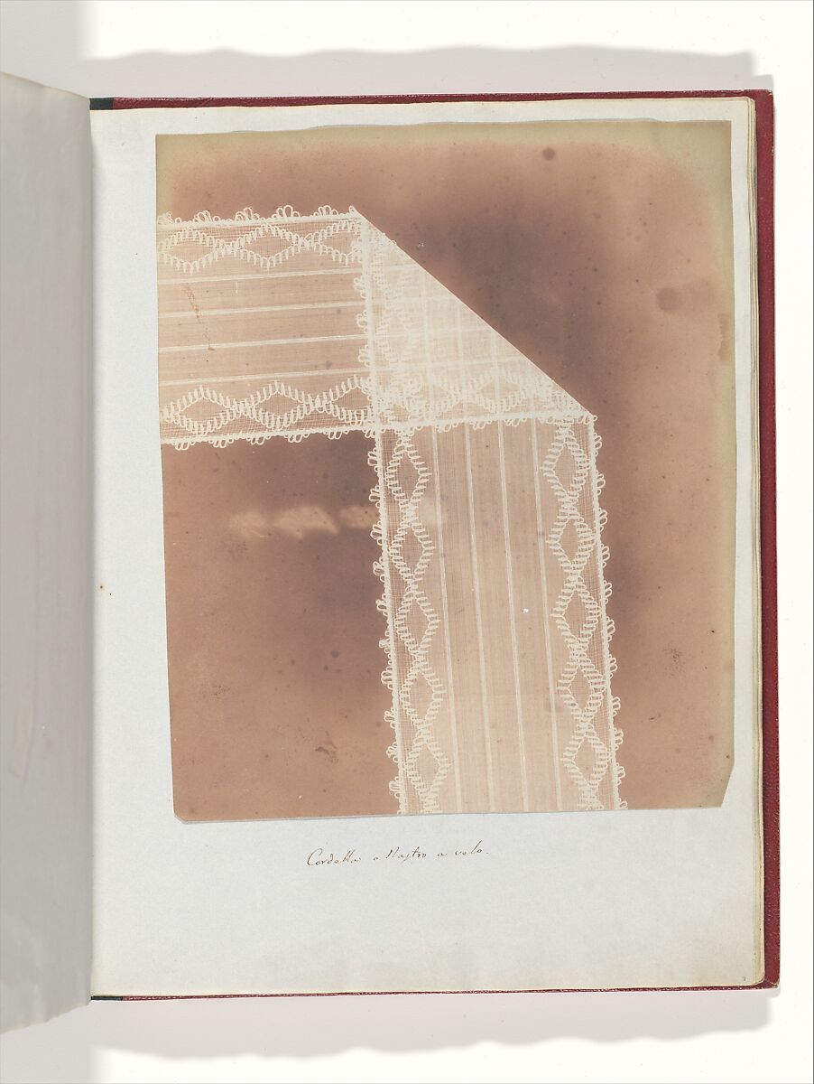 Cordella o Nastro a velo, William Henry Fox Talbot (British, Dorset 1800–1877 Lacock), Salted paper print 