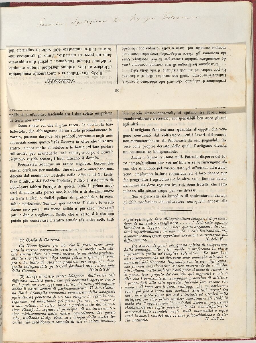 [Ricoglitore Di Cognizioni Utili. Anno 2o, No. 12 (15 October 1839), p. 50], Ink on paper
