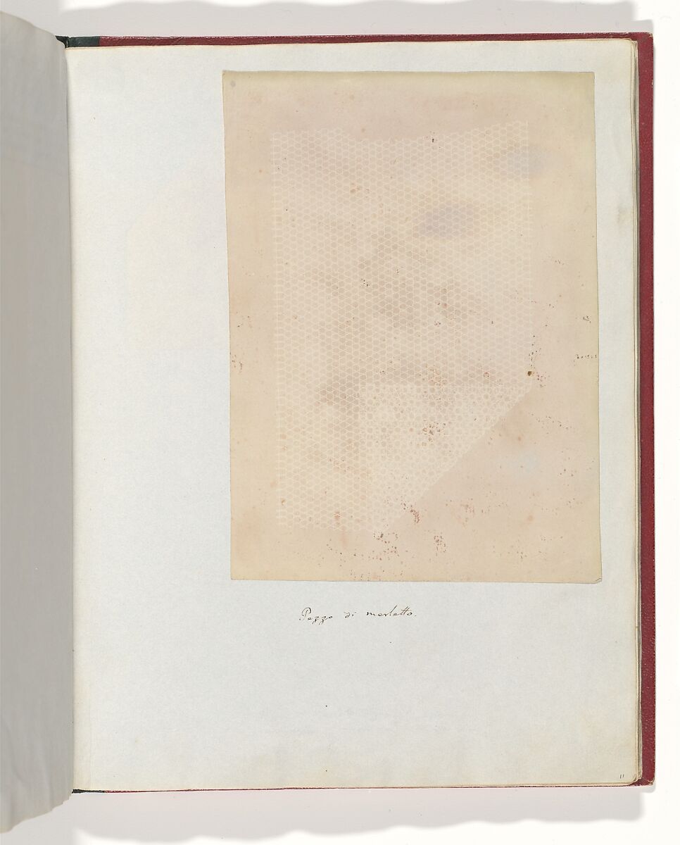Pezzo di merletto, William Henry Fox Talbot (British, Dorset 1800–1877 Lacock), Salted paper print 
