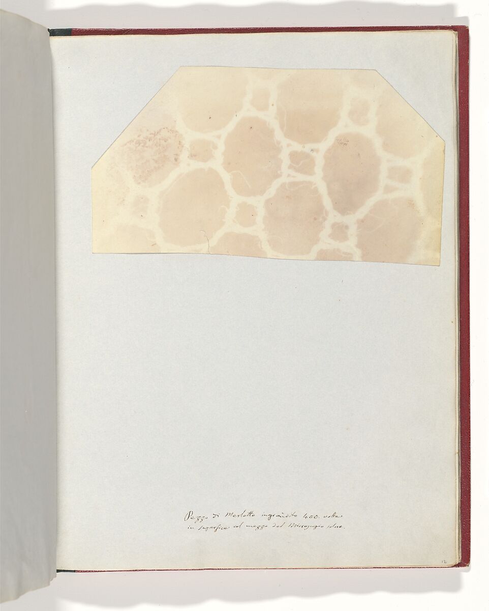 Lace in the Solar Microscope, 400 times magnified in surface, William Henry Fox Talbot (British, Dorset 1800–1877 Lacock), Salted paper print 