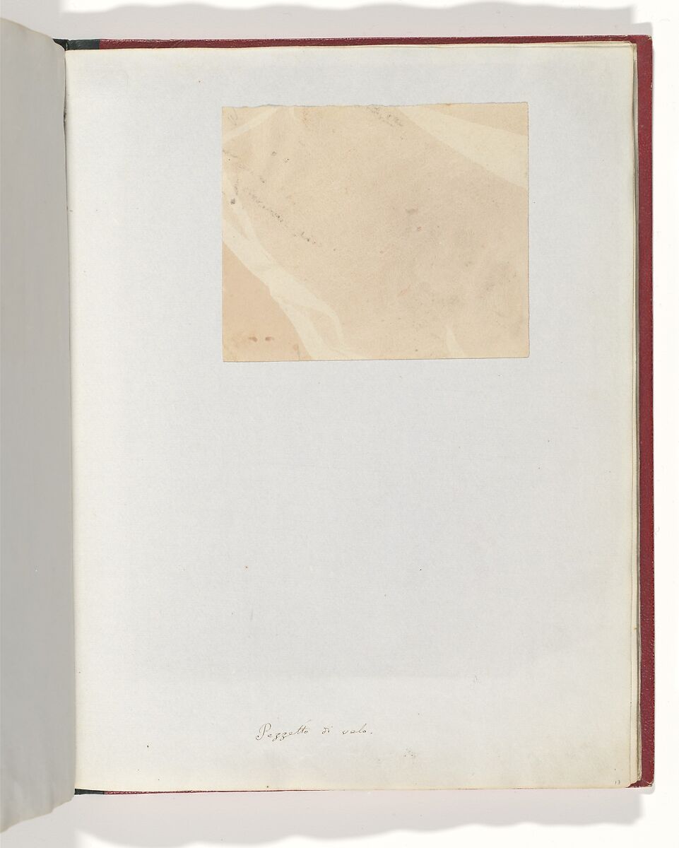 Crape, William Henry Fox Talbot (British, Dorset 1800–1877 Lacock), Salted paper print 