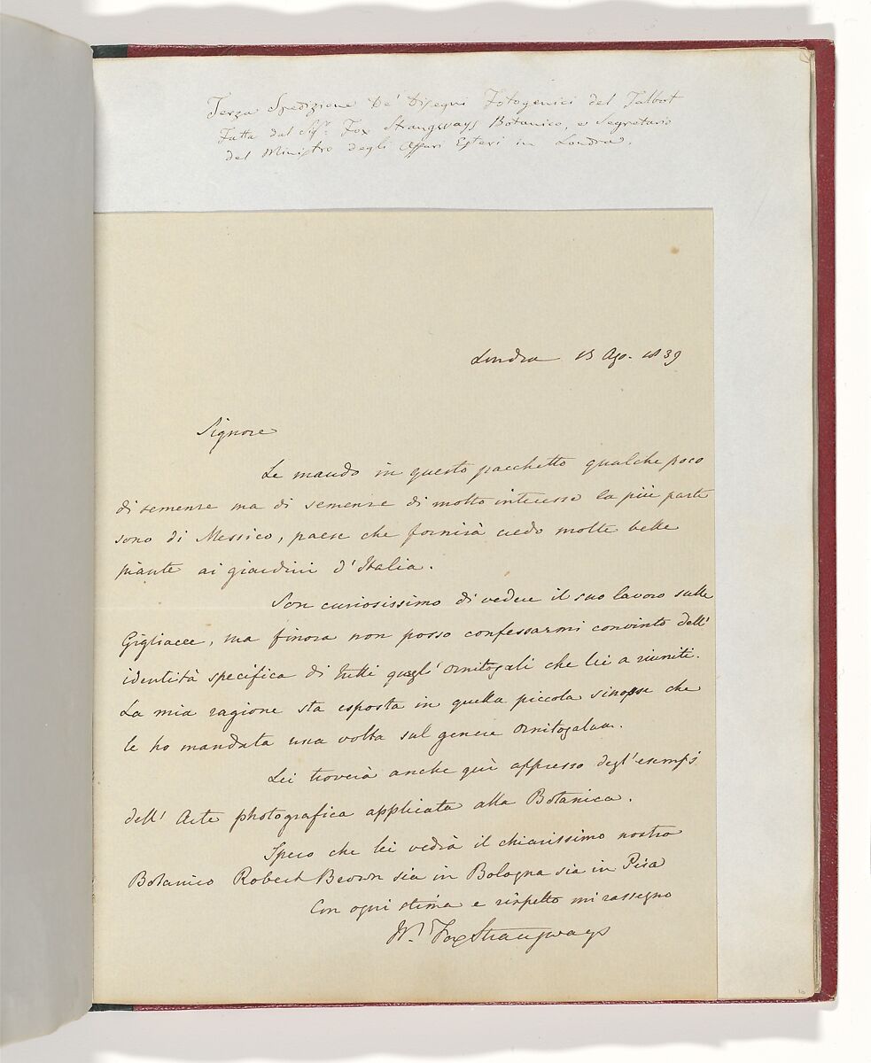[Manuscript Letter from William-Fox Strangways to Antonio Bertoloni], William Thomas Horner Fox-Strangways (British, 1795–1865), Ink on paper (manuscript) 