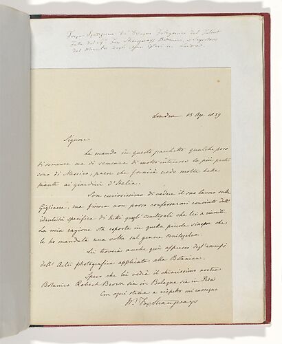 [Manuscript Letter from William-Fox Strangways to Antonio Bertoloni]