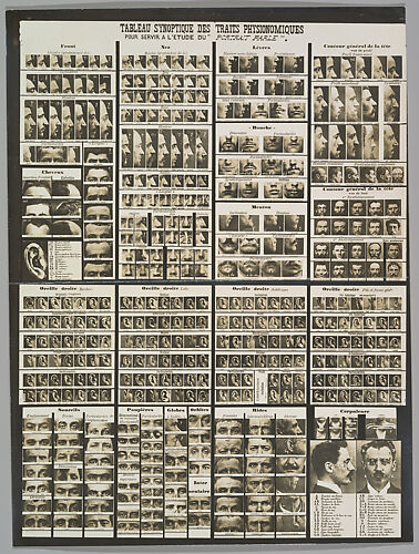 Tableau synoptic des traits physionomiques: pour servir a l'étude du 