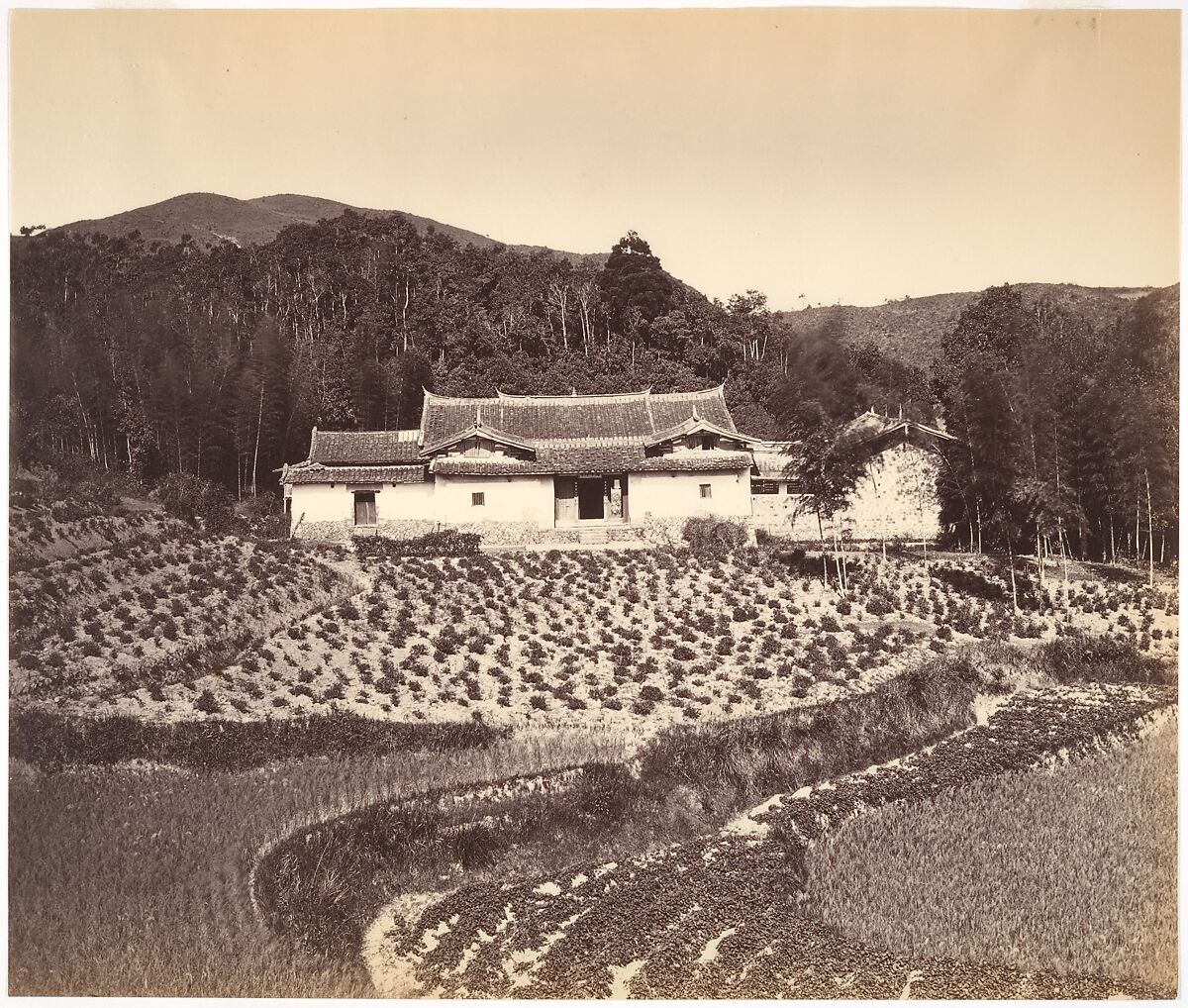 Teafield & Josshouse at Peling, Attributed to Tung Hing (Chinese, active 1870s), Albumen silver print from glass negative 