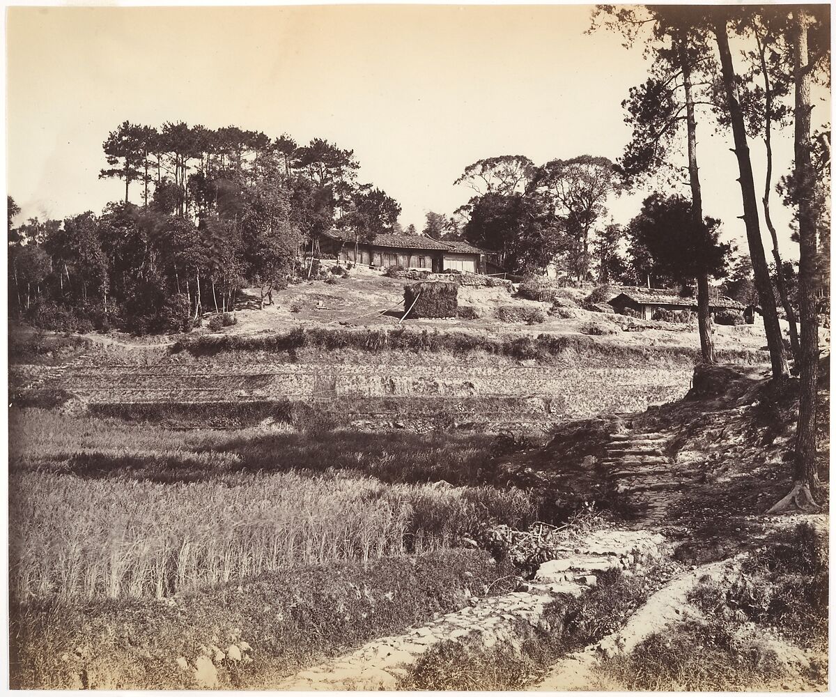 Teahouse at Peking, Attributed to John Thomson (British, Edinburgh, Scotland 1837–1921 London), Albumen silver print from glass negative 