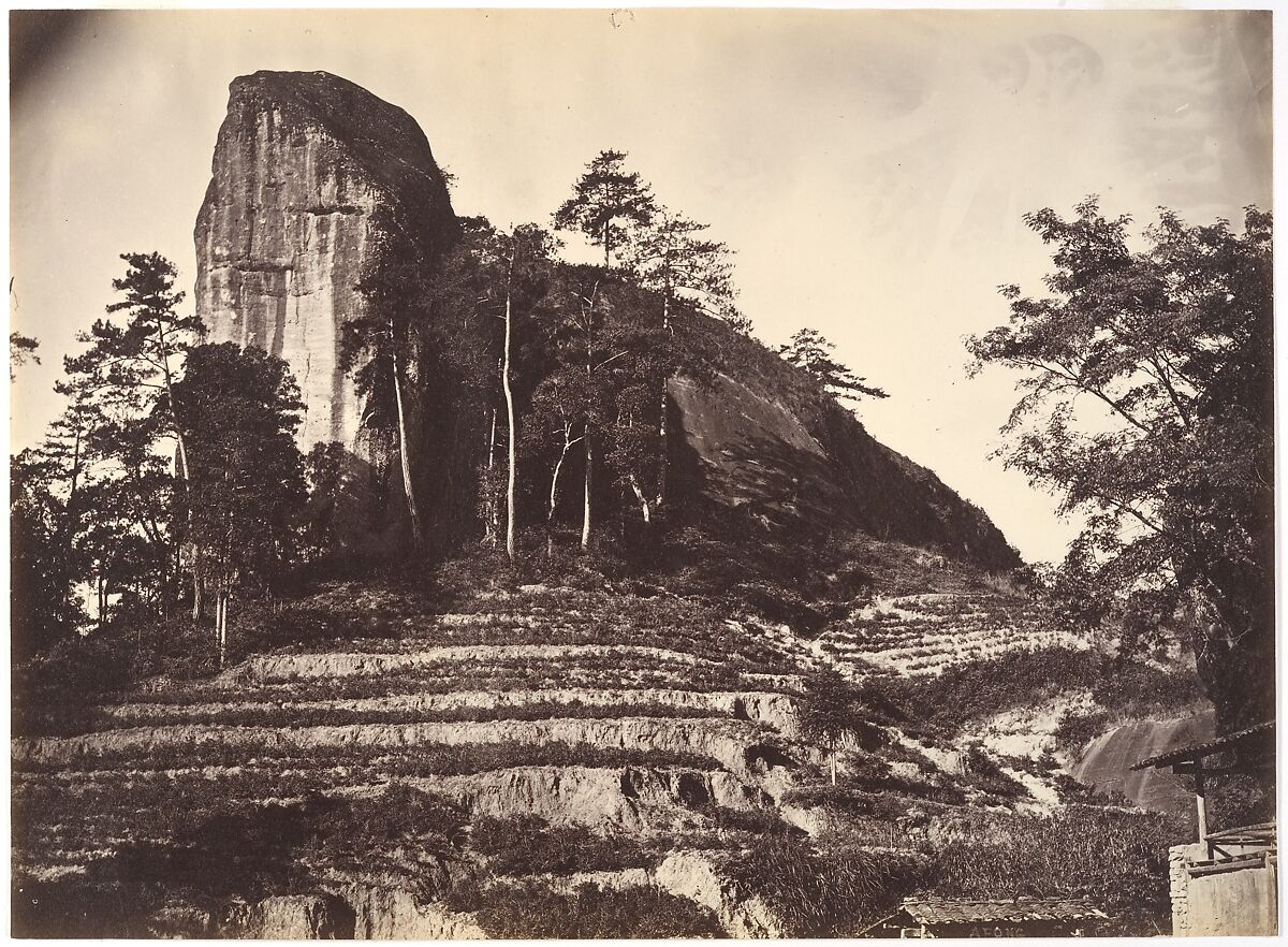 [Mountain and Rice Fields], Attributed to John Thomson (British, Edinburgh, Scotland 1837–1921 London), Albumen silver print from glass negative 