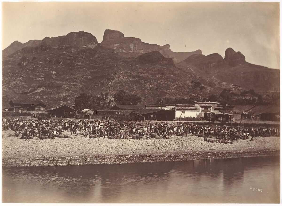Duck Market, Lai Afong (Chinese, 1839–1890), Albumen silver print from glass negative 