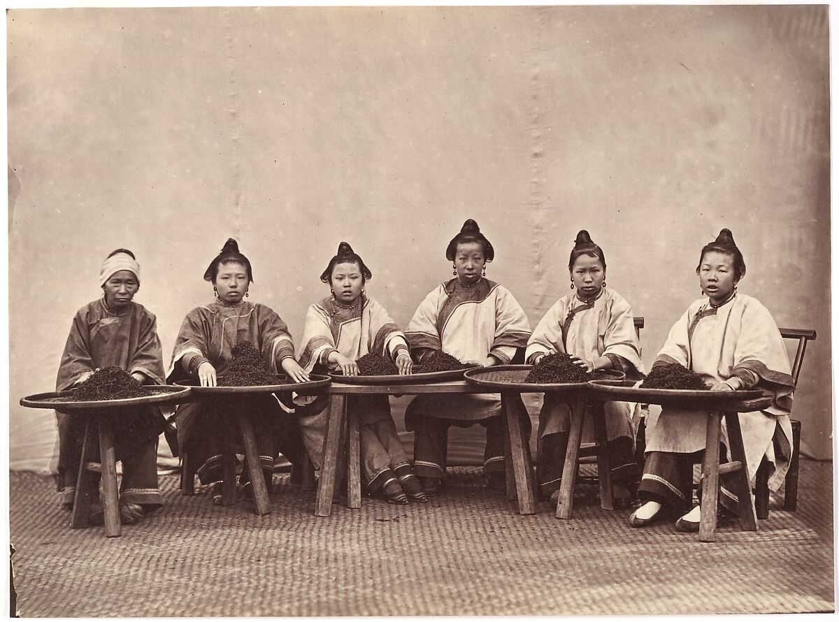 Culling Tea, Attributed to Lai Afong (Chinese, 1839–1890), Albumen silver print from glass negative 