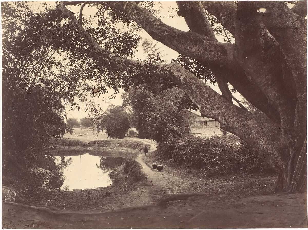Village Road North River, Attributed to John Thomson (British, Edinburgh, Scotland 1837–1921 London), Albumen silver print from glass negative 