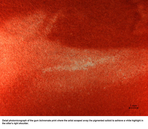 Struggle, Robert Demachy (French, 1859–1936), Gum bichromate print