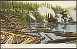 Logging Scene and Mill, Ore., Photomechanical print