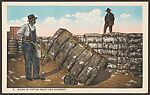 Bales of Cotton ready for Shipment., Photomechanical print
