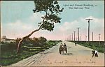 Lynn and Nahant Roadway, - The Half-way Tree, Photomechanical print