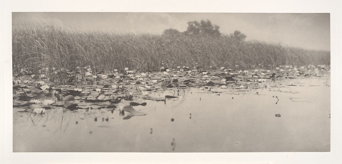 Life and Landscape on the Norfolk Broads, Peter Henry Emerson (British (born Cuba), 1856–1936), Platinum prints from glass negatives