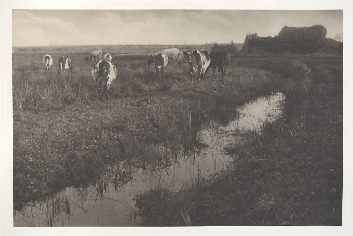 Life and Landscape on the Norfolk Broads, Peter Henry Emerson (British (born Cuba), 1856–1936), Platinum prints from glass negatives