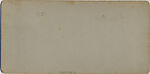 [9 Stereographic Views of the Arsenal Museum, NYC Museum of Natural History, American Museum, Interior Views Showing Stuffed Animals, Central Park, New York], Various, American, Albumen silver prints