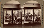 [9 Stereographic Views of the Arsenal Museum, NYC Museum of Natural History, American Museum, Interior Views Showing Stuffed Animals, Central Park, New York], Various, American, Albumen silver prints