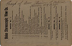 [9 Stereographic Views of the Arsenal Museum, NYC Museum of Natural History, American Museum, Interior Views Showing Stuffed Animals, Central Park, New York], Various, American, Albumen silver prints