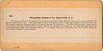 [7 Stereographic Views of Art Museum, Metropolitan Museum of Art, Exterior and Interior Views, Central Park, New York], Various, American, Albumen silver prints