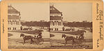 [7 Stereographic Views of Art Museum, Metropolitan Museum of Art, Exterior and Interior Views, Central Park, New York], Various, American, Albumen silver prints