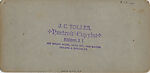 [19 Stereographic Views of Belvedere, Central Park, New York], Various, American, Albumen silver prints