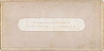 [19 Stereographic Views of Belvedere, Central Park, New York], Various, American, Albumen silver prints