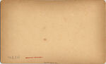 [19 Stereographic Views of Belvedere, Central Park, New York], Various, American, Albumen silver prints