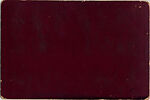 [19 Stereographic Views of Belvedere, Central Park, New York], Various, American, Albumen silver prints