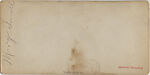[2 Stereographic Views of Carousal, Central Park, New York], Various, American, Albumen silver prints