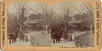 [2 Stereographic Views of Carousal, Central Park, New York], Various, American, Albumen silver prints