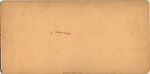 [2 Stereographic Views of Carousal, Central Park, New York], Various, American, Albumen silver prints