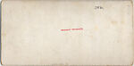 [20 Stereographic Views of Casino, Central Park, New York], Various, American, Albumen silver prints